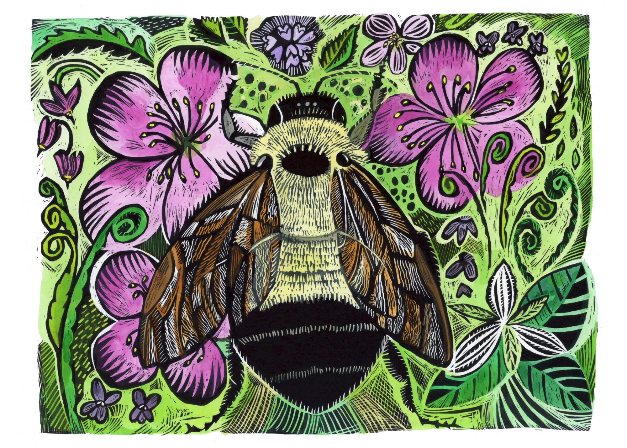 Scraperboard illustration by Claudia McGehee of a bumble bee sitting on purple flowers