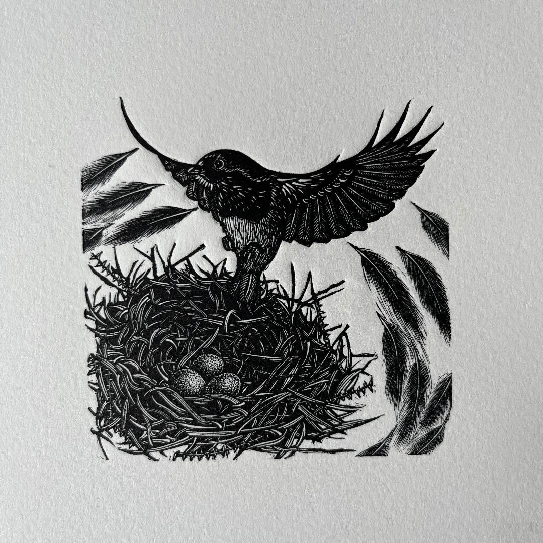Linoprint by Beth Robertson of a robin in it's nest